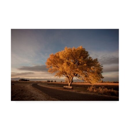 Trademark Fine Art Dan Ballard 'Road Turn' Canvas Art, 16x24 ALI45735-C1624GG
